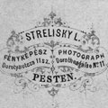 Történelem: Strelisky Lipót