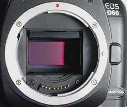 Canon EOS-D60 és EOS-D30
