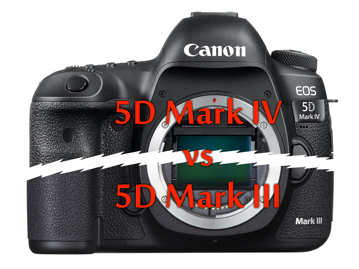 Canon EOS 5D Mark IV vs EOS 5D Mark III