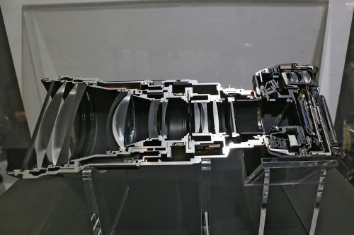 Sony Alpha A99 + 300mm f/2.8 G SSM II