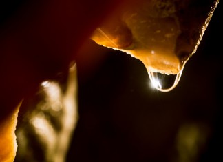 Pálvölgyivel a Pál-völgyiben