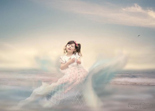 Holly_Spring_02