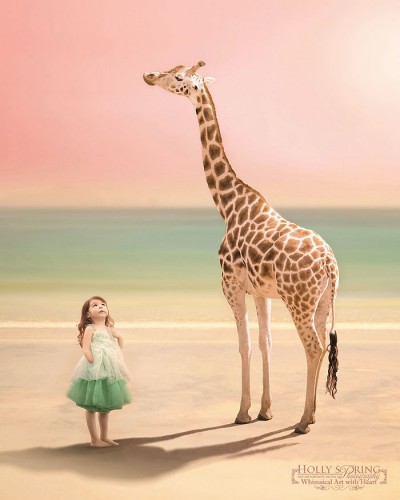 Holly_Spring_04