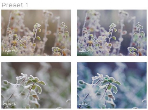 lightroom_preset