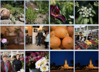 Sigma 24-35mm f/2 DG HSM Art tesztfotók