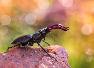 A Fotózz!hu júniusi legsikeresebb fotói