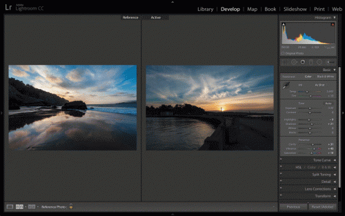lightroom_reference_view