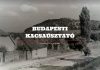 Heti Fortepan – 7.: Budapesti kacsaúsztató